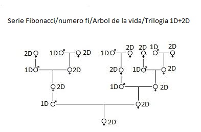 Fibonacci.jpg