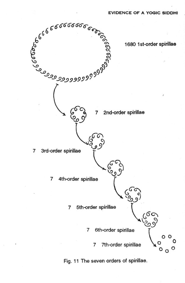 Spirals in Spirals.jpg